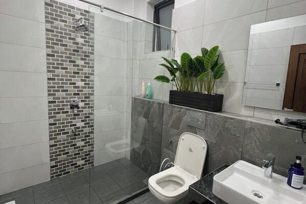 Shower, hair dryer, towels, soap