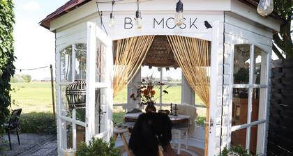 Beautifully Styled Apartment