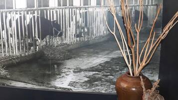 Apartment | Interior detail