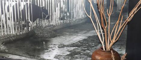 Apartment | Interior detail