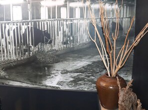 Huoneisto | Yksityiskohta sisätiloista