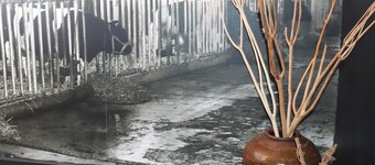 Beautifully Styled Apartment