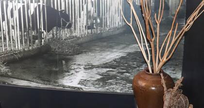 Beautifully Styled Apartment