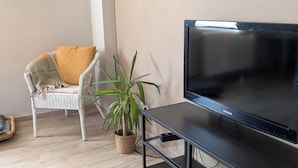 A modern living room with a flat-screen TV on a black stand, a wicker chair with a cushion, a potted plant, and a shelf with a book. - Vacation apartment in Bungert - directly on the Eifelsteig trail (Üxheim)