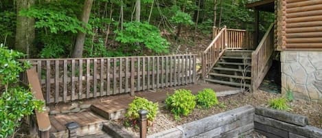 A wooden staircase leading to a cabin surrounded by dense forest.