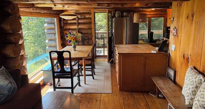 Mountain Log Home w/Amazing View! Foliage Awaiting