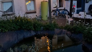 Ein Gebäude mit Wandmalerei, einem kleinen Teich und einem Fahrrad.