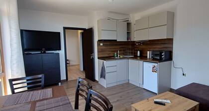 Lovely 1-bedroom apartment in Pamporovo Pine hill-1