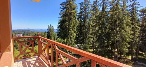 Lovely 1-bedroom apartment in Pamporovo Pine hill-1