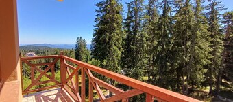 Lovely 1-bedroom apartment in Pamporovo Pine hill-1