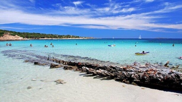 A beach with clear turquoise water, people swimming and sunbathing, and a sailboat in the distance. - The Scola of Pirazzolu Retreat (Olbia)