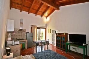 A compact room with a bed, a kitchenette, a dining area, and a television.