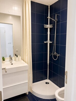 Een badkamer met een wit wastafel, een spiegel, een douche met handdouche en een toilet.