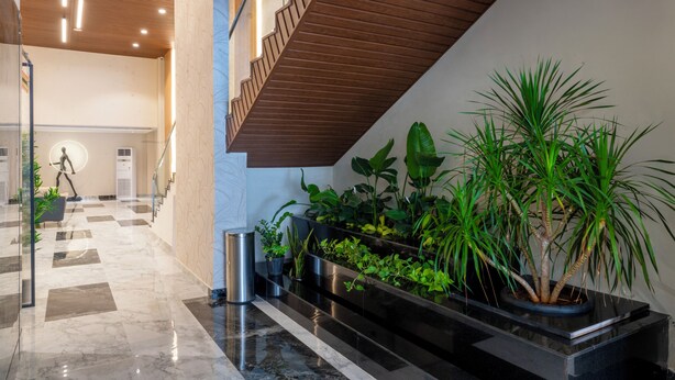 Un hall d’entrée moderne avec un sol en marbre à carreaux, un escalier en bois et une variété de plantes d’intérieur.