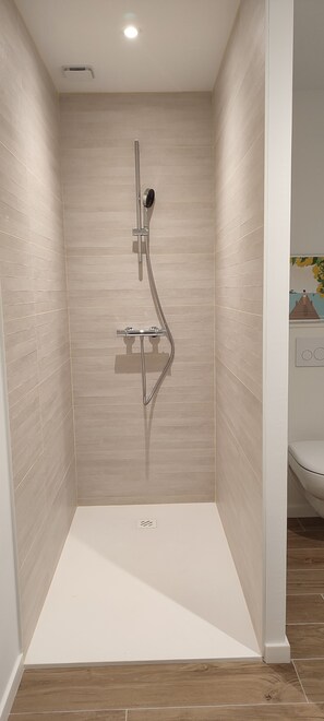 Dusche, Haartrockner, Handtücher, Toilettenpapier