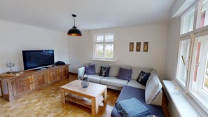 TV, fireplace, video games, DVD player