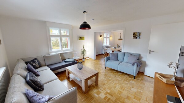 TV, fireplace, video games, DVD player