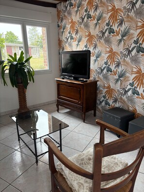 Fernseher