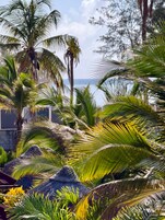 A tropical garden with palm trees and a thatched-roof structure.