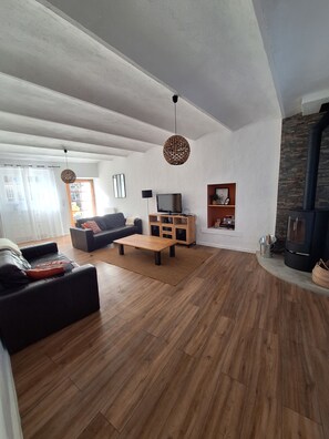 TV, fireplace, books