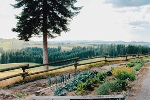 Property grounds - Country Villa - Winklergut Luxury Farm Residence (Sankt Peter am Wimberg)