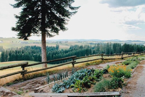 Winklergut Luxury Farm Residence Austria - SH