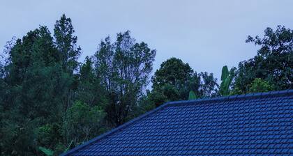 Wanagiri Reserve - Private Luxury Jungle Villa