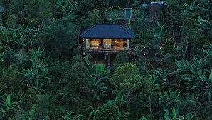 Una casa rodeada de densa vegetación tropical, con una montaña al fondo.