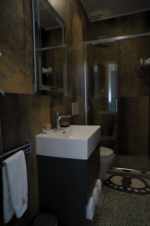 Ducha, secador de pelo, bidé y toallas