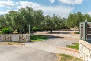 A paved driveway leading to a stone wall with a sign, surrounded by olive trees and a clear sky.