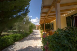 Terassi/patio