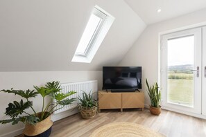 Ein modernes Wohnzimmer mit schrägen Wänden, einem großen Flachbildfernseher auf einem Holzkasten und zwei Topfpflanzen.