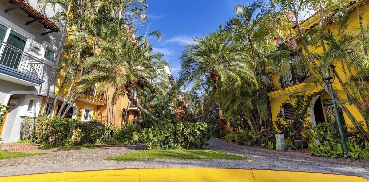 A street lined with palm trees and yellow buildings, suggesting a tropical setting.