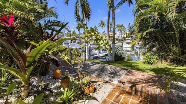 A marina with boats, palm trees, and a paved pathway.