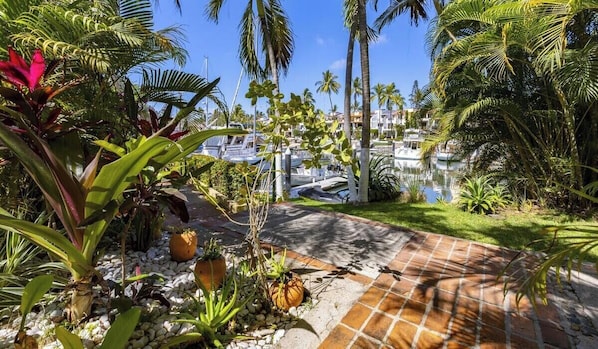 A marina with boats, palm trees, and a paved pathway.