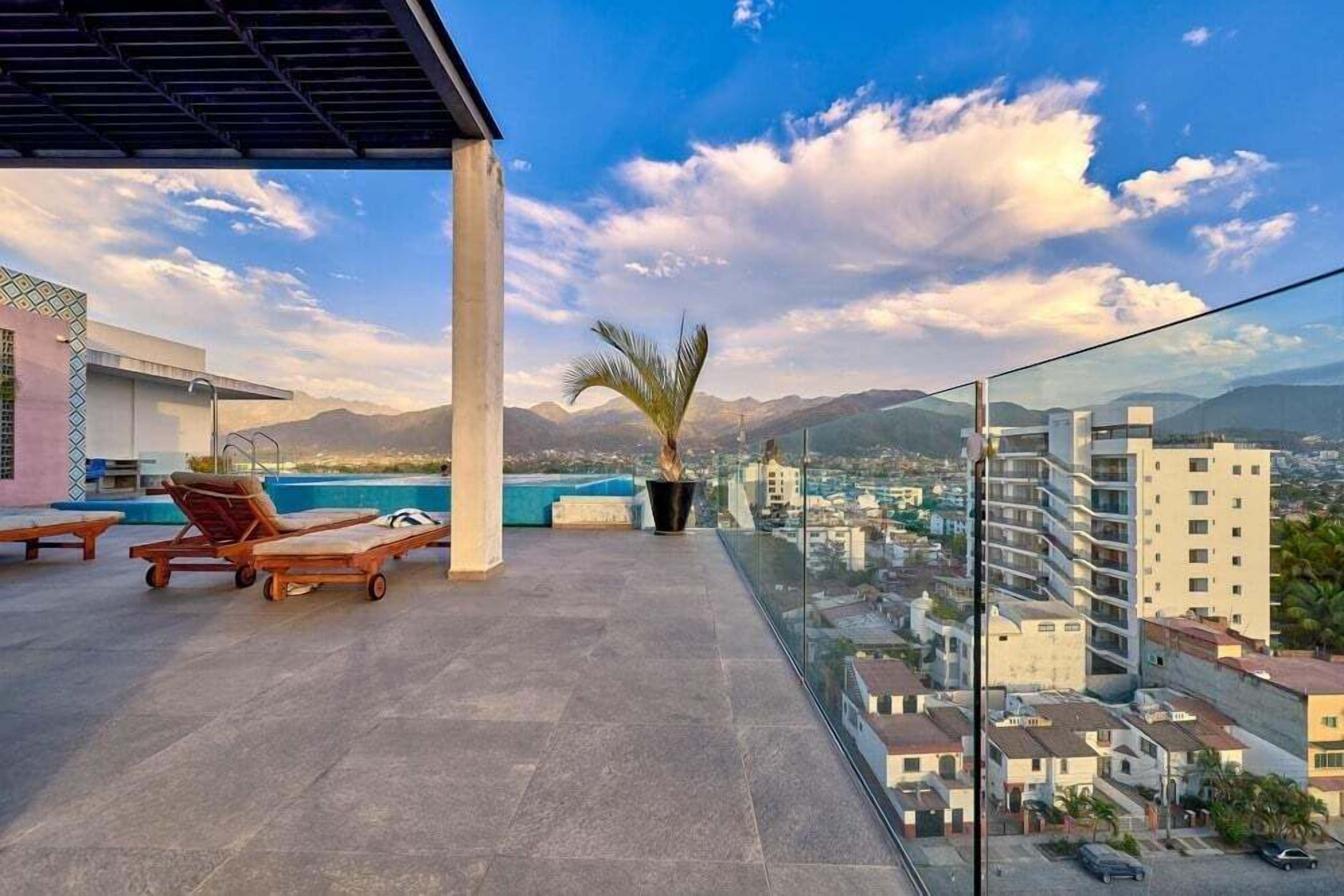 A rooftop terrace with lounge chairs, a palm tree, and a city view.