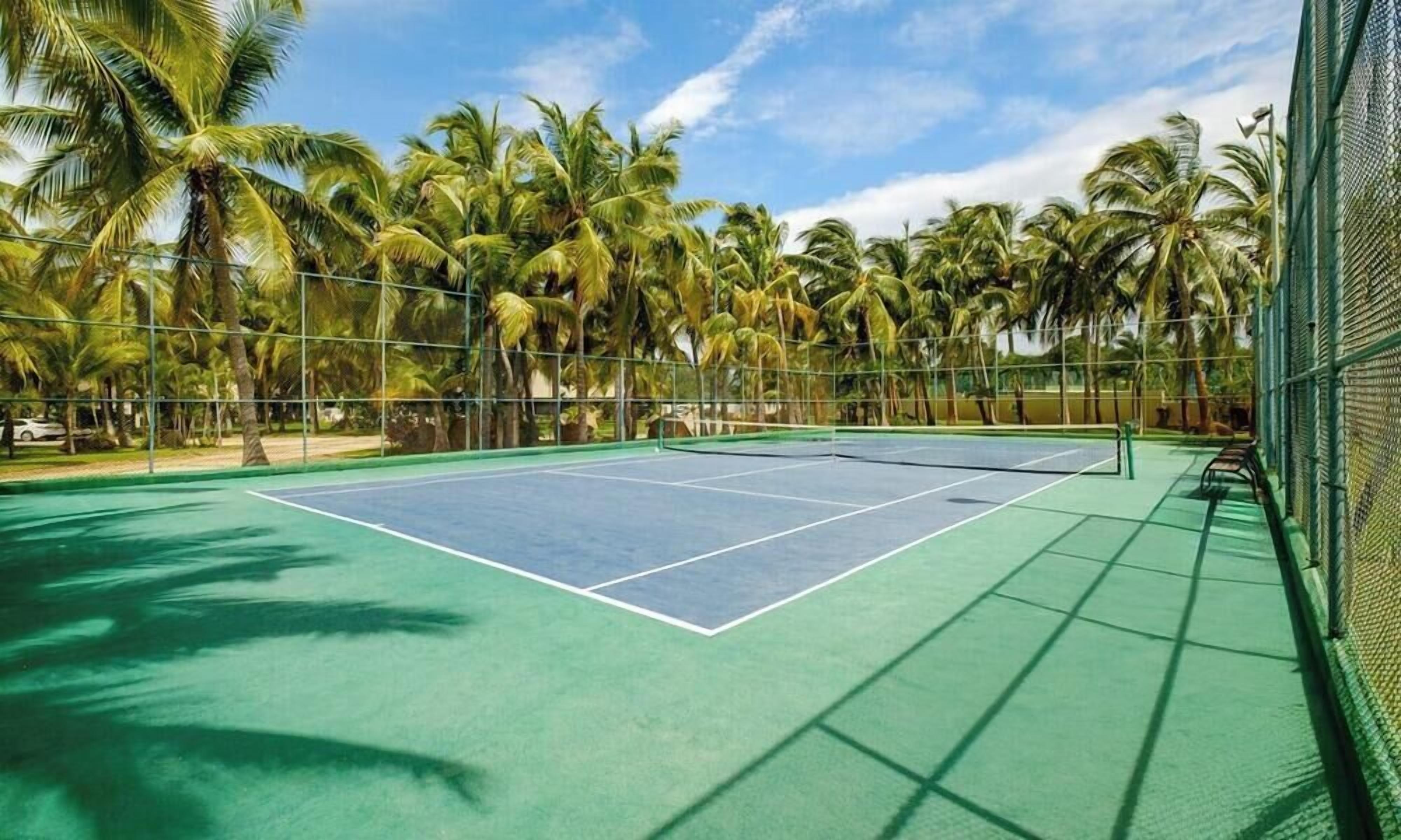 A tennis court surrounded by a fence with palm trees in the background.