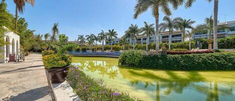 A resort with a pool, palm trees, and a building with multiple floors.