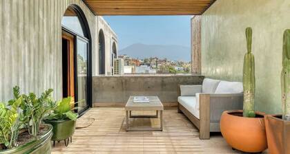 Luxury 3 BR House in Downtown - AC - Peaceful