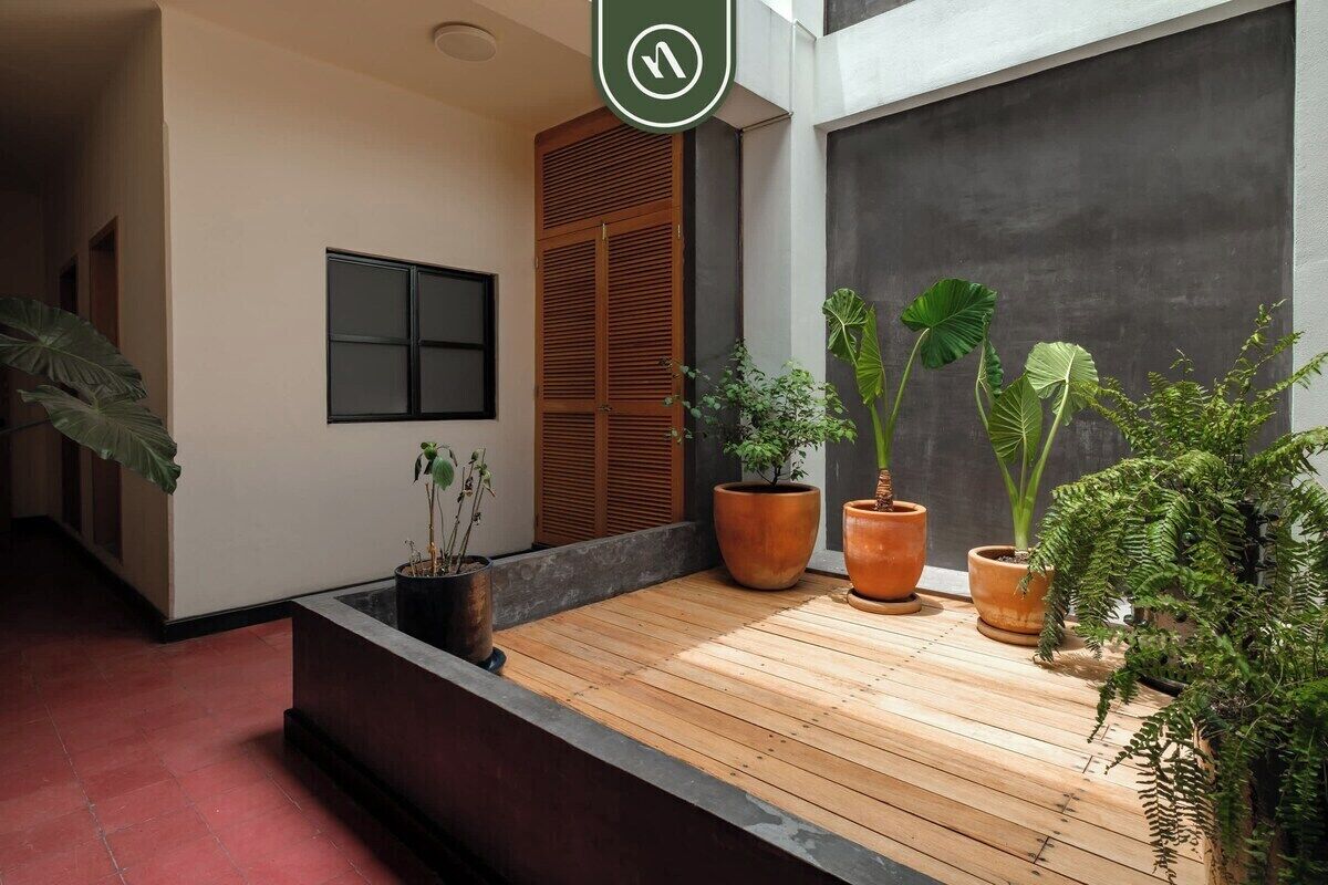 A modern interior with a wooden deck, potted plants, and a large window.