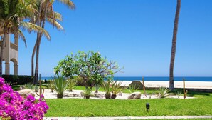 Ein angelegter Garten mit Palmen, verschiedenen Sträuchern und Blick aufs Meer.