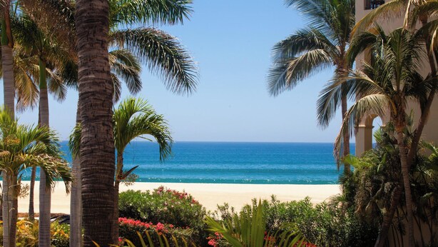 Blick auf einen Strand mit Palmen und blauem Himmel.