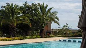 Une piscine à l’eau d’un bleu limpide, entourée de palmiers et avec un bâtiment visible au loin.