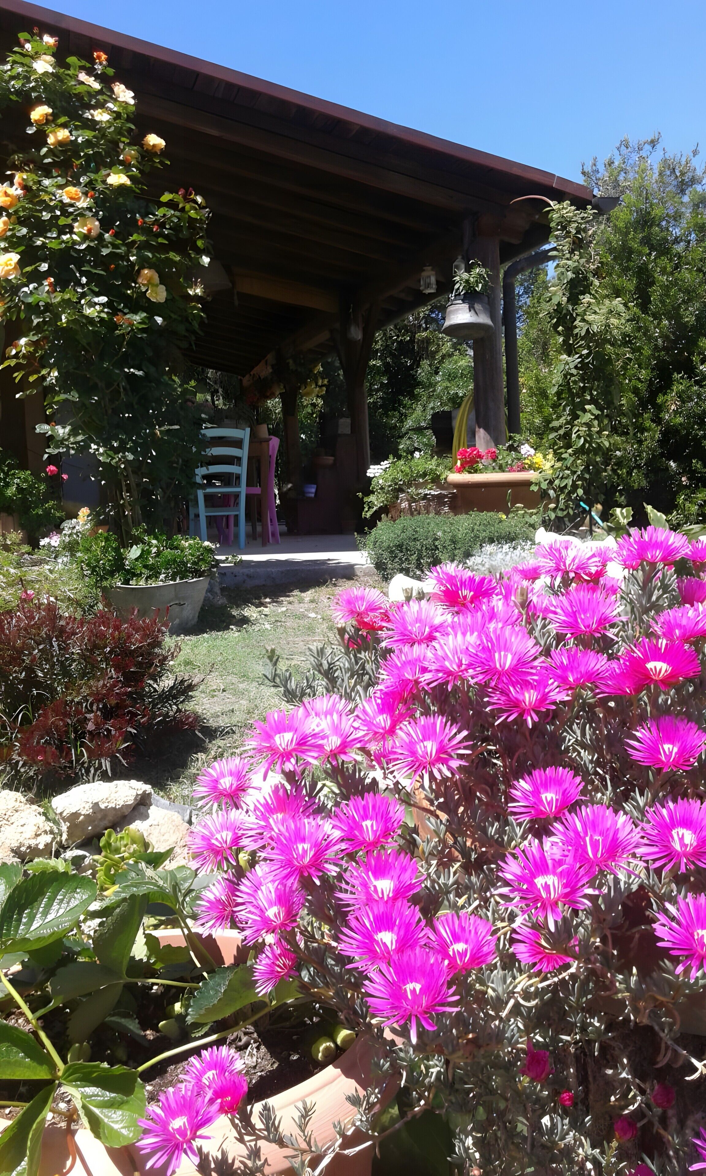 A garden with pink flowers, a wooden pergola, and a building with a covered entrance.