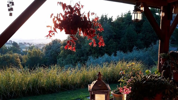 A wooden table with a lantern, potted plants, and a hanging red flower arrangement.