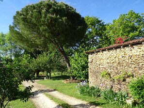 Parco della struttura