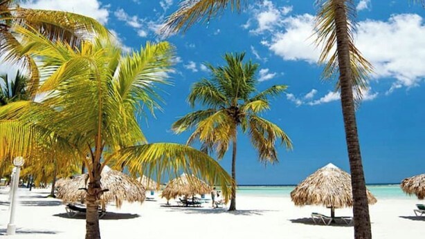 Ein Strand mit Palmen und Strohdächern.