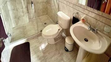Hair dryer, towels, soap, toilet paper
