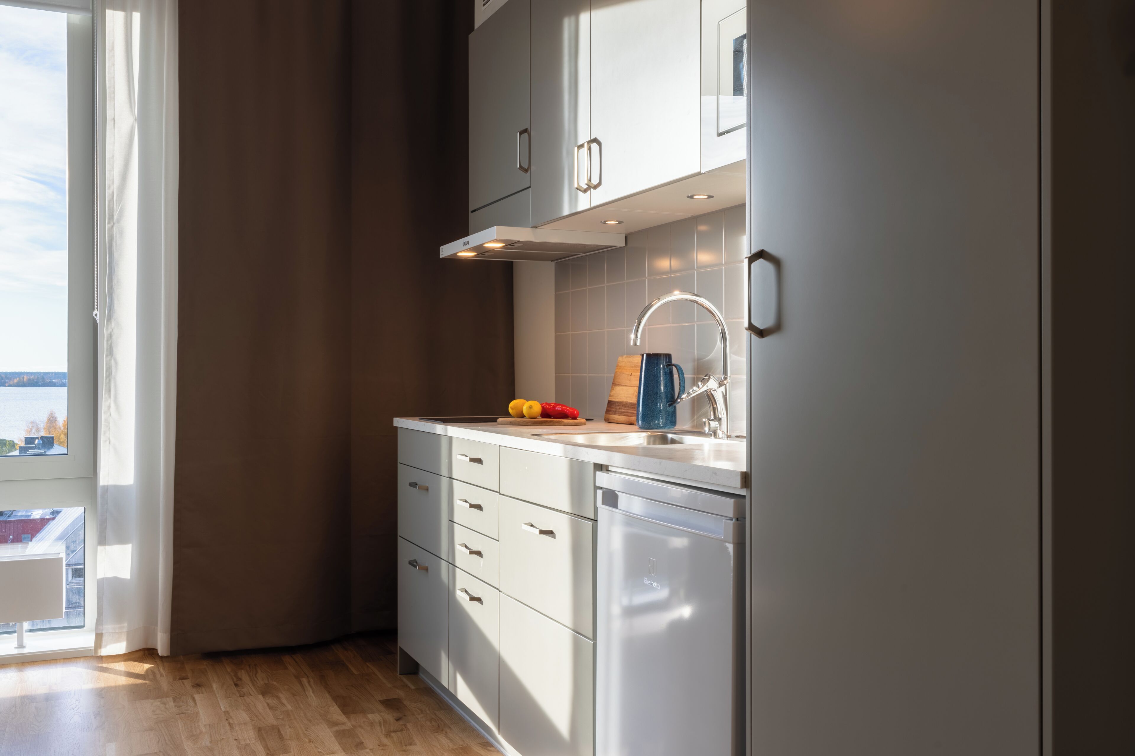 A modern kitchen with white cabinets, a built-in dishwasher, and a window overlooking a body of water.