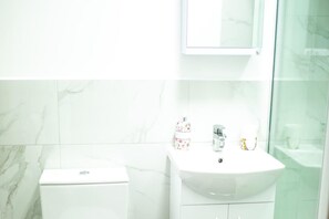 Ducha, secador de pelo y toallas